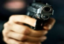 Câte gorjeni dețin arme letale