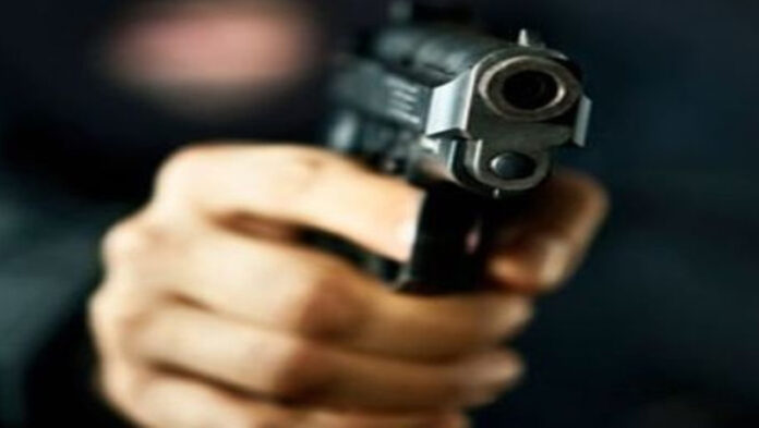 Câte gorjeni dețin arme letale