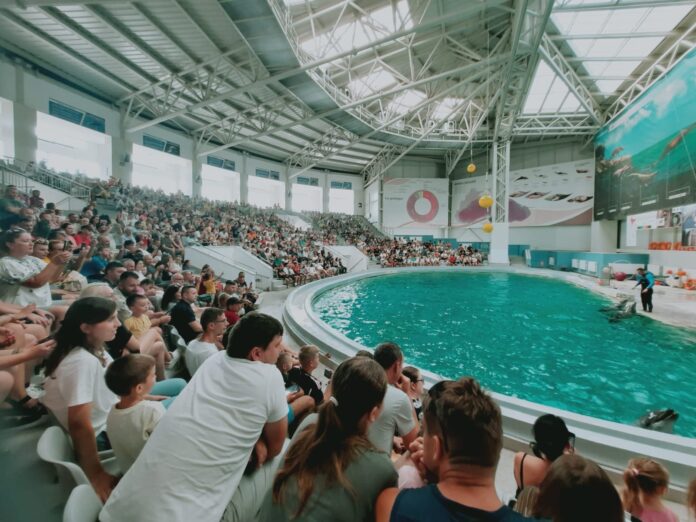 Tabere la mare și la munte pentru copiii aflați în grija DGASPC Gorj