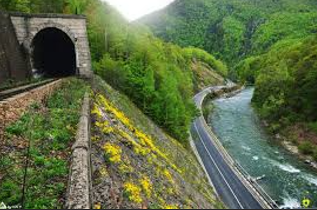 Oficialii Gorjului, la acțiunea de ecologizare din Defileul Jiului