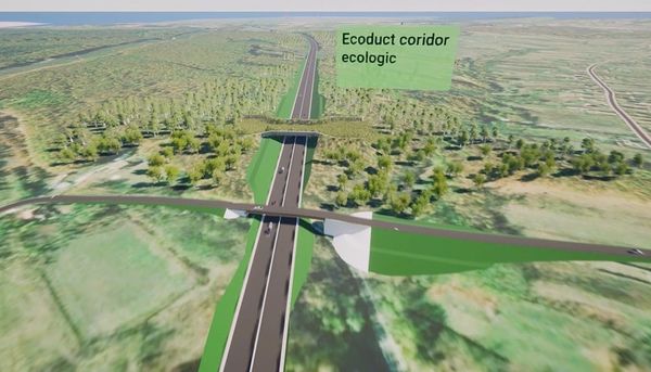 Termen limită pentru depunerea ofertelor privind construcția lotului 6 Craiova – Târgu Jiu