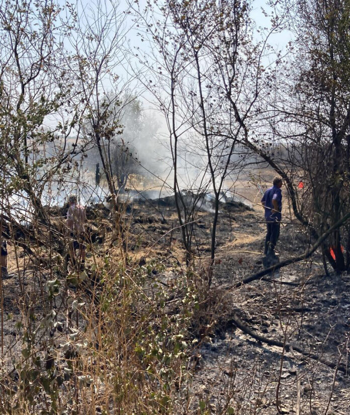 e8fd6ad8-f0da-4441-adaf-006b6040cbb4