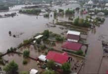 Prețurile produselor din zonele inundate, luate la ochi de Consiliul Concurenței