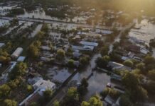 ANSVSA inventariază animalele moarte în inundațiile din estul țării