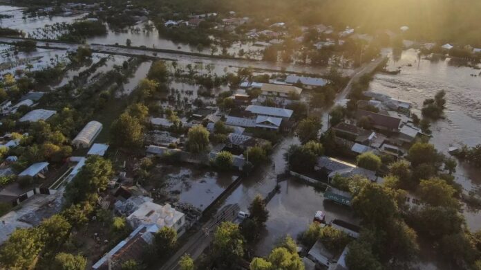 ANSVSA inventariază animalele moarte în inundațiile din estul țării