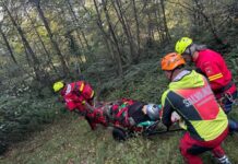 Video: S-a oprit cu parapanta în copaci!