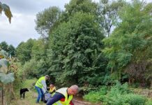 Vom avea o zi de curățenie națională