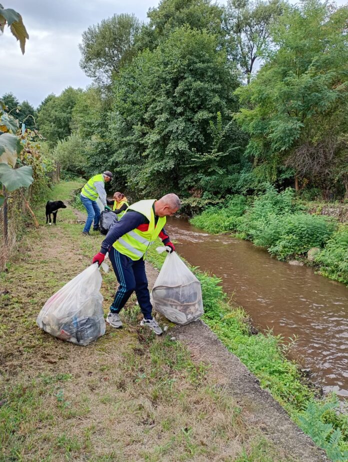 Vom avea o zi de curățenie națională