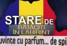 Paradigma psihică şi psihanalitică a labirintului – ,,Tot ceea ce ne irită la cei din jur, ne poate conduce la o mai bună înțelegere a propriei persoane”! (Carl Gustav Jung)