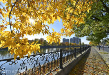 Meteorologii anunță o toamnă ”ca pe vremuri”