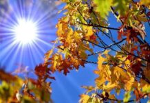 Sfârșit de săptămână cu vreme rece