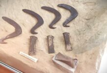 Topor tip celt, vechi de 3500-4000 de ani, descoperit în Gorj