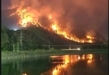 Valea Oltului, în flăcări