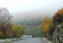 AUTUMNALE – Sanctuare ale naturii – Spectacolul naturii pe Godeanul, într-o zi de toamnă