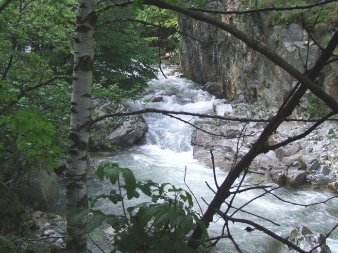 Astenii de toamnă – Pe „drumul de sub munte” spre Cantonul Bâlții