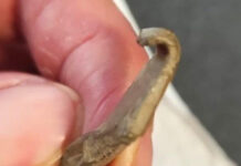 Piese romane din categoria Tezaur, descoperite în Gorj!