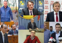 Senatorul de Gorj, Ion Iordache, și-a trecut în CV doar numărul de contact al unei reprezentante PNL