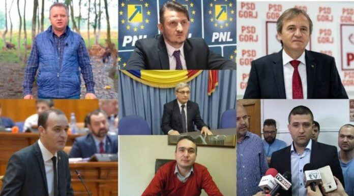 Senatorul de Gorj, Ion Iordache, și-a trecut în CV doar numărul de contact al unei reprezentante PNL
