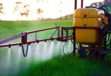 Agricultura pe înțelesul tuturor – Păstrarea și folosirea corectă a pesticidelor