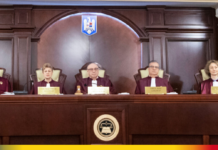 Judecător CCR, opinie separată privind respingerea candidaturii Dianei Șoșoacă