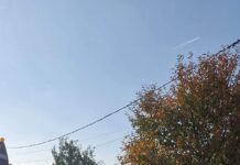 Dosar penal după accidentul de la Plopșoru