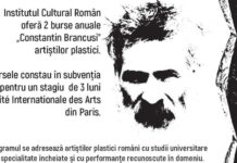 ICR a lansat apel de candidaturi pentru Bursele Brâncuşi