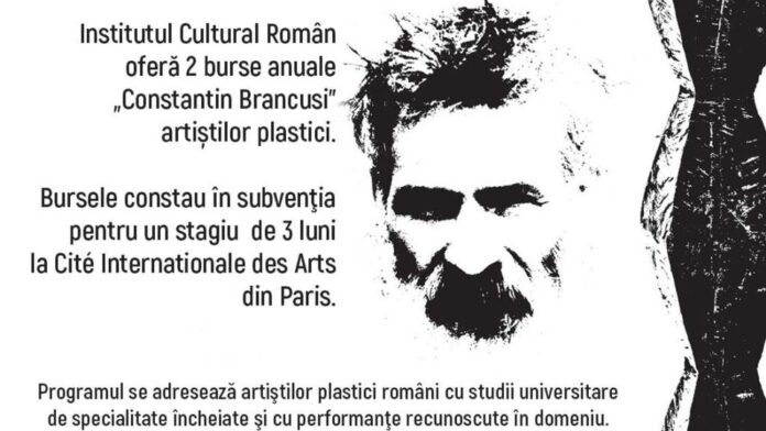 afis brancusi