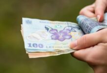 Cine va beneficia de indemnizaţia de solidaritate