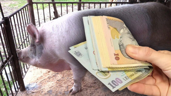 Un bărbat din Stoina a obținut, în instanță, despăgubiri de zeci de mii de lei pentru porcii uciși din propria gospodărie