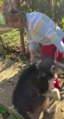 Cățelușă salvată de Protecția Animalelor Gorj, adoptată azi