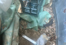 Patru ani de pușcărie pentru că și-a înjunghiat soțul