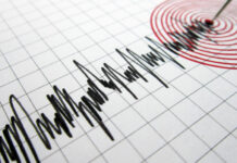 Cutremur slab în Gorj