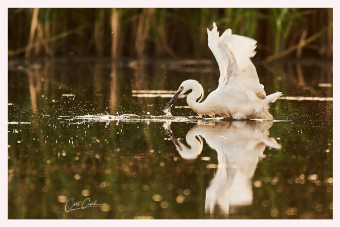 Expoziție de fotografie, la CJCPCT Gorj