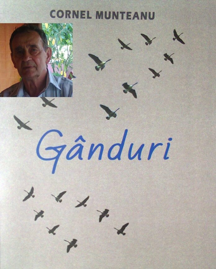 ganduri