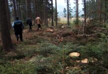 Roșia de Amaradia: Accident mortal cercetat de ITM