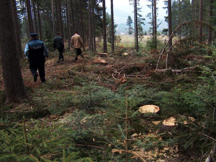 Roșia de Amaradia: Accident mortal cercetat de ITM