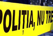 Fragmente osoase, descoperite la Bâlteni! Indicii că ar aparține unei femei care fusese dată dispărută