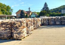 Romsilva scoate la vânzare lemne de foc pentru populație