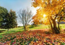 Temperaturi de vară în aceste zile