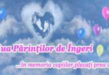 Prefectura Gorj, iluminată în roz și bleu, de Ziua Părinților de Îngeri