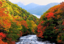 Scade debitul râurilor din țară! Jiul va avea sub 30% din normal, în unele zone