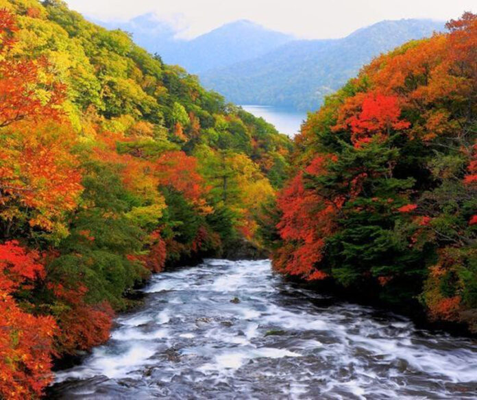 Scade debitul râurilor din țară! Jiul va avea sub 30% din normal, în unele zone