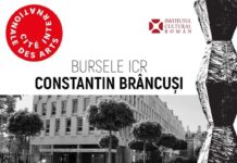 ICR: Termenul pentru bursele ”Constantin Brâncuși”, prelungit