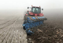 Agricultura pe înțelesul tuturor – Calendarul lucrărilor agricole în luna noiembrie