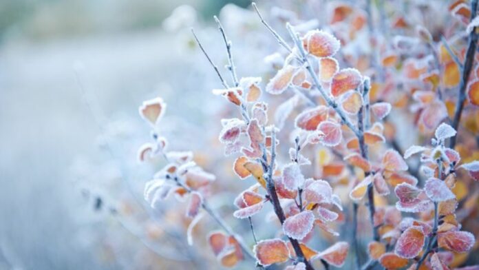 Gorj: -7 grade, la Padeș. Unde au fost cele mai scăzute temperaturi