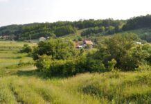 15 ani de pușcărie pentru că și-a ucis fratele. I-a dat cu târnăcopul în cap și apoi a turnat făină peste el!