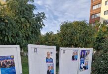 Afișajul electoral încaieră partidele. A reclamat lipsa panourilor electorale din comune